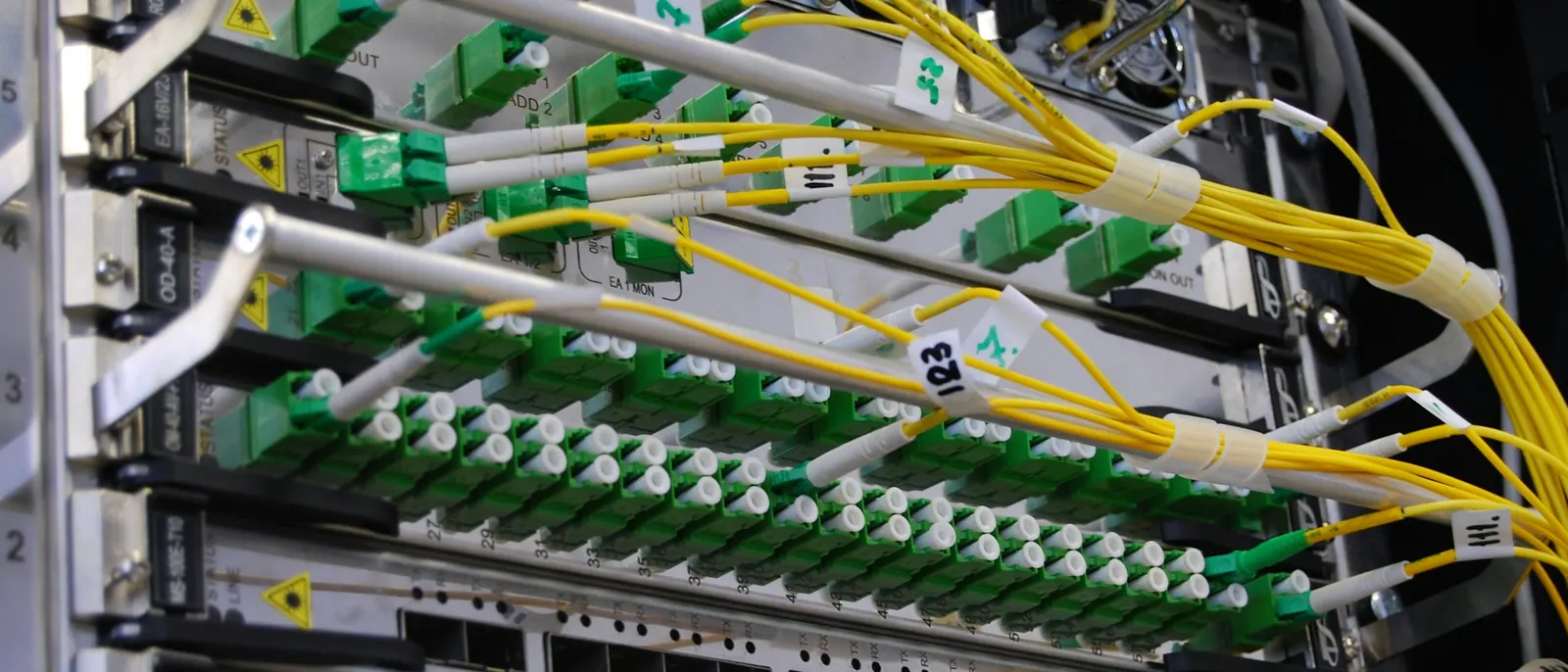 Fibre optic patch cords connected to a network chassis